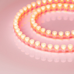 Декоративные DIP 12V 6-7 W/m IP65