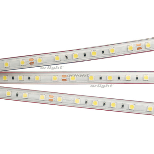 Лента RTW 2-5000PS 24V White6000 2x (5060, 300 LED, LUX) (Arlight, 14.4 Вт/м, IP67)