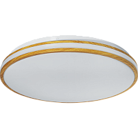 Светильник Navigator 93 460 NLF-C-025-02