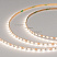 Лента MICROLED-M120-3.5mm 12V Day4000 (8.3 W/m, IP20, 2216, 3m) (Arlight, узкая)