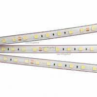 Лента герметичная RTW-PFS-B60-13mm 24V Day5000 (14.4 W/m, IP68, 5060, 5m) (Arlight, 14.4 Вт/м, IP68)